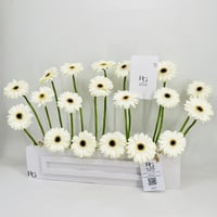 10670-107 - صورة 3