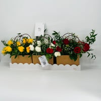 8937 - صورة 3