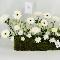 12949 - Image 5
