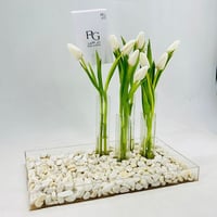 6111 - Image 3
