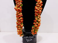 3673 - صورة 3