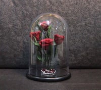 2295-151 - صورة 1