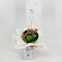 نبات الكلانشو فوشيا رقم.9553-382 - صورة 3