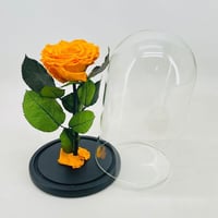 1737-222 - صورة 1