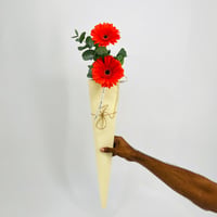 10182 - Image 3