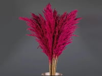 4321-418 - صورة 1