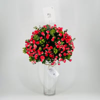 8591-495 - صورة 1