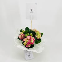 نبات الهايدرنجا رقم.9557 - صورة 3