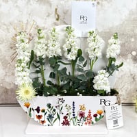 15919 - Image 3
