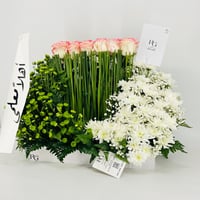 13610 - صورة 3