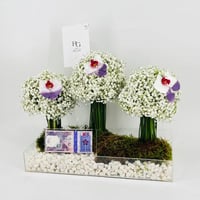 9220 - صورة 3