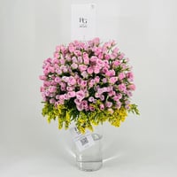 9930-284 - صورة 2