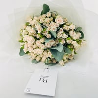 13955 - صورة 4