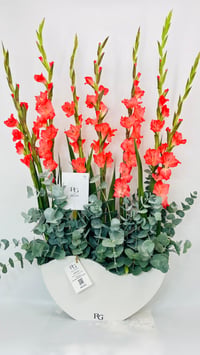 14507 - صورة 2