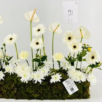 12952 - صورة 6