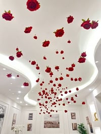 11147-404 - صورة 1