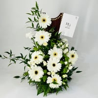 12303 - صورة 2