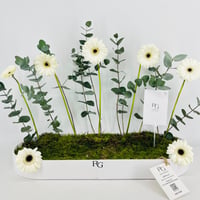 15441 - صورة 2