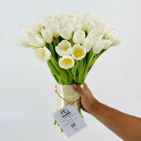 3010-12 - صورة 1
