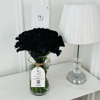 18305 - صورة 1