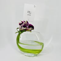 1460-710 - صورة 1