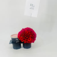 11642-484 - صورة 4