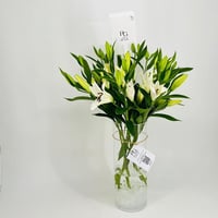 7583-148 - صورة 2