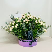 7785-537 - صورة 2