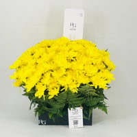 11489-599 - صورة 1