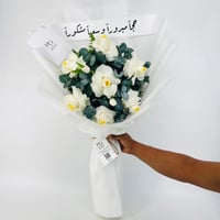 12647 - Image 2