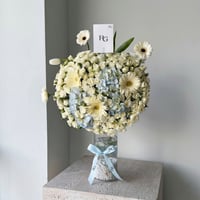 27554 - Image 1