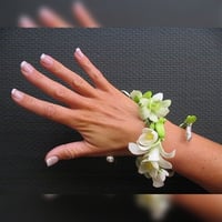 3120-490 - صورة 1