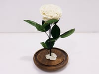 3616-284 - صورة 3