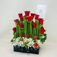 8172-295 - صورة 3