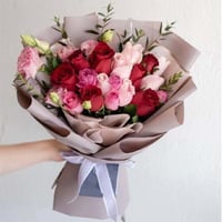 537 - صورة 1