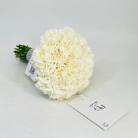 3009-178 - صورة 1