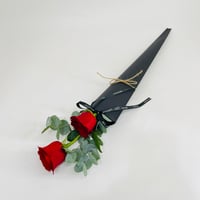 10187 - Image 2