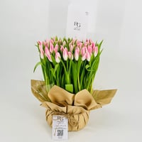 3919-102 - صورة 1
