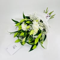 11169-486 - صورة 2