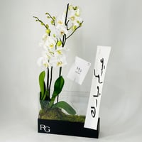 12038 - Image 2