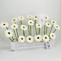 10670-107 - صورة 2