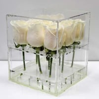 383 - صورة 1