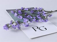 4296-182 - صورة 1