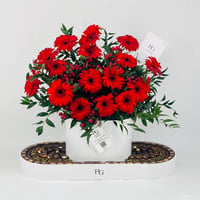 12716-799 - صورة 1