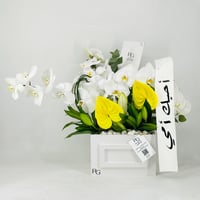 11942-648 - صورة 2