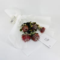 14246 - Image 2