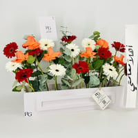 13533 - صورة 2