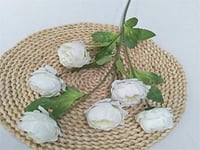 4307 - صورة 1