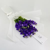14237 - Image 2