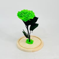 11239-183 - Image 3